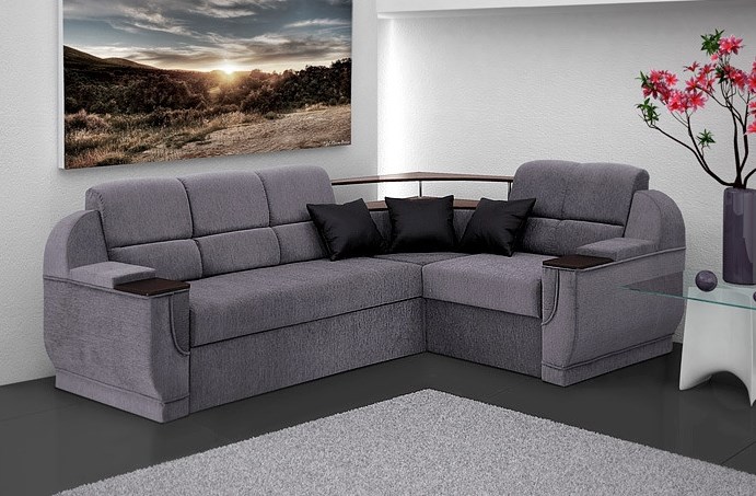 Choose a sofa for the living room