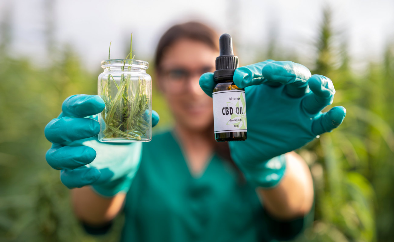 Исследование подтверждает: CBD продукты как эффективное средство для улучшения качества жизни при болезни Паркинсона