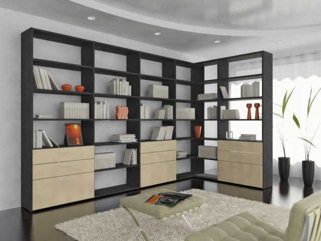 How to choose a bookcase
